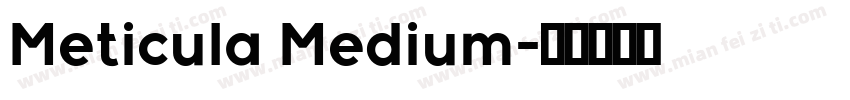 Meticula Medium字体转换